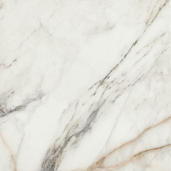 Savoir Cafe Rectangle 24X48 Polished - MZ_SV11_24x24_Cafe_Mat_Silo_02@2x.jpg