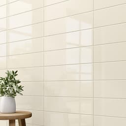 Color Wheel Classic Biscuit Rectangle 3X6 Glossy - a9xvoiaezwsok9kcc3ya@2x.jpg