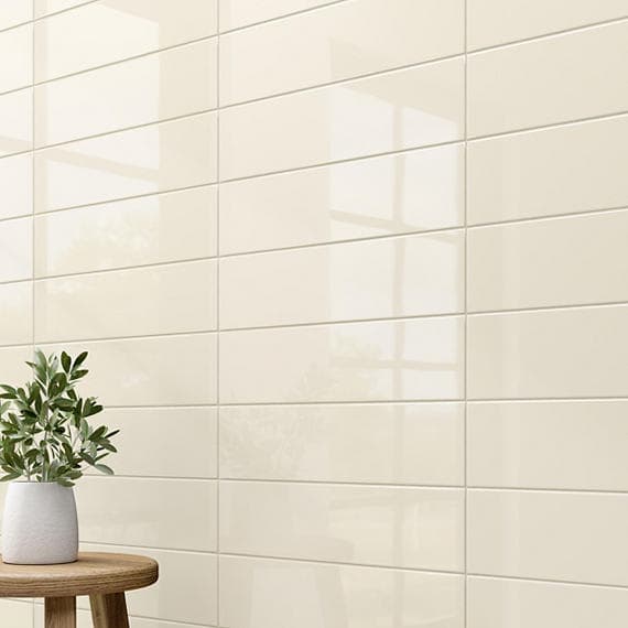 Color Wheel Classic Biscuit Rectangle 3X6 Glossy - a9xvoiaezwsok9kcc3ya@2x.jpg