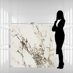 Panoramic Duet Calacatta Aries Square 48X48 Matte - aa5yviksdmbmmucpk8bu@2x.jpg