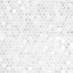 Carrara White Round Pattern Honed - aakudel5jimb1hsqqud2@2x.jpg
