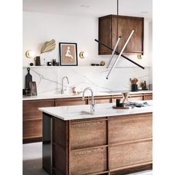 Align Smart Faucet 1.5 GPM Single Hole Pull Down Kitchen Faucet with Voice Control - abi3jiqupezuw7wrnpqn_x500.jpg
