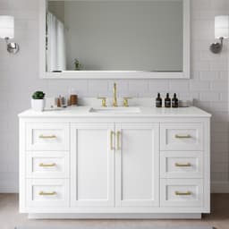 Miranda Single Bathroom Vanity - 60W x 33.75H x 22D - abvv2gswctrq4rkpug0a@2x.jpg