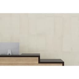 PRODIGY CRUZ MT 12X24 - ae6o6irsvvadhnu92q1a@2x.jpg