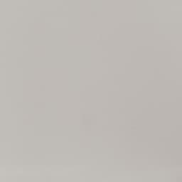 Neospeck Light Gray Rectangle 12X24 Matte - afrzjcjsjwrnm6nl1ikq@2x.jpg