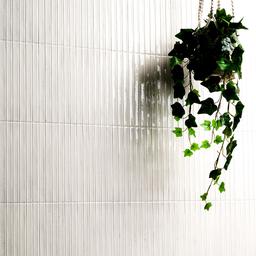 Gems bianco - agiksrmkkeojck5dyz0m@2x.jpg