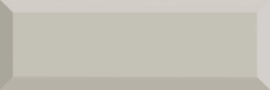 Hawthorne Scholarly Gray Rectangle, Bevel 4X12 Glossy - agogy1wf0bnvxaoj9zii@2x.jpg