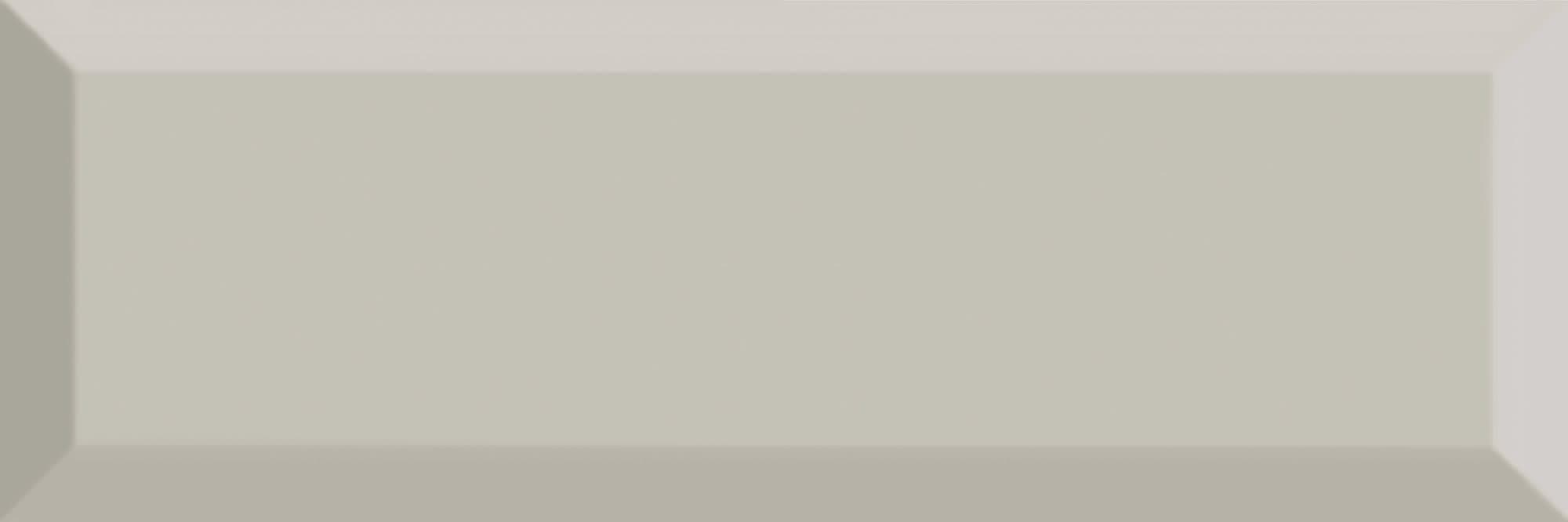 Hawthorne Scholarly Gray Rectangle, Bevel 4X12 Glossy - agogy1wf0bnvxaoj9zii@2x.jpg