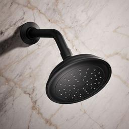 Artifacts 1.75 GPM Single Function Shower Head with MasterClean Sprayface and Katalyst Air-Induction Technology - agvytrhsrxhgfe299tor@2x.jpg