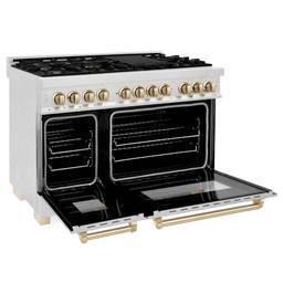 48"W 6.0 Dual Fuel Range Stainless Steel W Gold - ahgflhr02faujfzqt2fk@2x.jpg