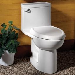 Cadet 3 Elongated Compact One-Piece Toilet with EverClean Surface and Right Height Bowl - Includes Slow-Close Seat - ai98mdqbnxnbmpctetrr_x500.jpg