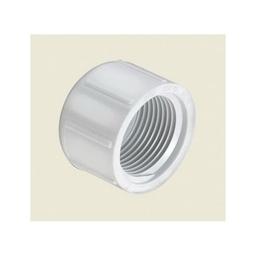 Cap, 1 in, FNPT, SCH 40/STD, PVC - ajljptgsyjevelsrtqgk@2x.jpg