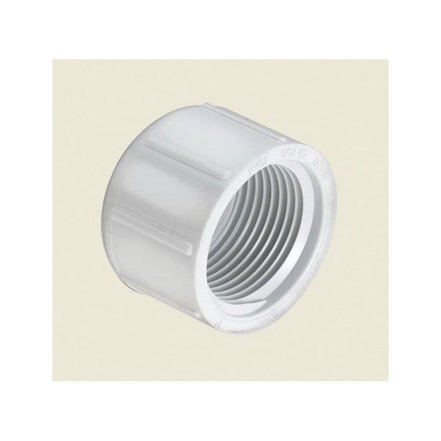 Cap, 1 in, FNPT, SCH 40/STD, PVC - ajljptgsyjevelsrtqgk@2x.jpg