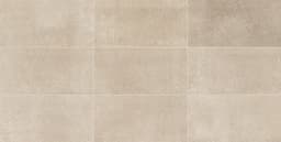 Reminiscent Aged Beige Rectangle 12X24 Matte - amzm9dnfee5gbb5nyl1h@2x.jpg