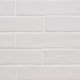 Brickstone White Porcelain Tile - aoops8s8nwmywygoinwj@2x.jpg