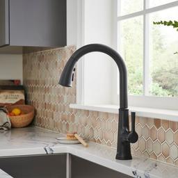 Renate 1.5 GPM Single Hole Pull Down Kitchen Faucet - Includes Escutcheon - ary2knvz7nmzyuxabbj0@2x.jpg