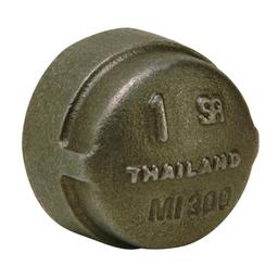 Cap, 1/2 in, FNPT, 300 lb, Malleable Iron, Black - as1drxtyanndmyv9tsf9@2x.jpg
