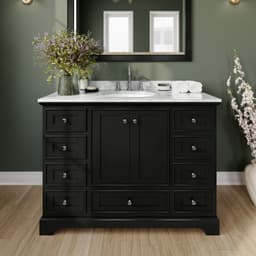Deborah Single Bathroom Vanity - 48W x 35H x 22D - as25vklx8elsovxszlya@2x.jpg