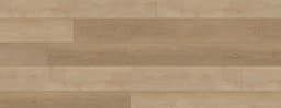 European Beech - atnqxu5h2rhyxflv1xbt@2x.jpg