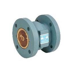 Silent Check Valve, 2-1/2 in, Flange, Cast Iron - atnvsqmxbvq1nho3gdfi@2x.jpg