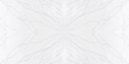 Calacatta Romano - aup95hi95a0ss7z9z2ss@2x.jpg