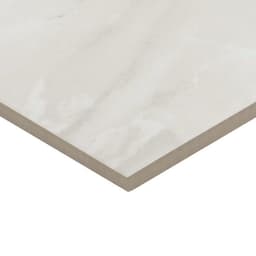 Artsy Breccia Onyx Rectangle 12X24 Matte - av1s8eylzysvq3qyyqki@2x.jpg