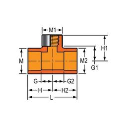 FlameGuard® Head Tee, 1 in, Socket x Special Reinforced FNPT, CPVC - avg1fhur2qucoaiclzzt@2x.jpg