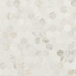 Arabescato Venato 2" Hexagon Honed - awpupa8oe8ugxexrycnz@2x.jpg