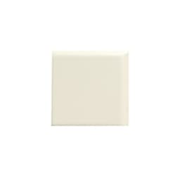 CATCH IVORY MT BN CRN 3X3 - axa4dcorphflm6h5wx4k@2x.jpg