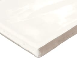 Artigiano Italian Alps Rectangle, Undulated 3X6 Glossy - axe8pn0bvvjgxwl06xka@2x.jpg