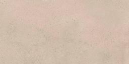 BALTIC TAN MT 12X24R - aya20iadjr9xd0hbqa8a@2x.jpg
