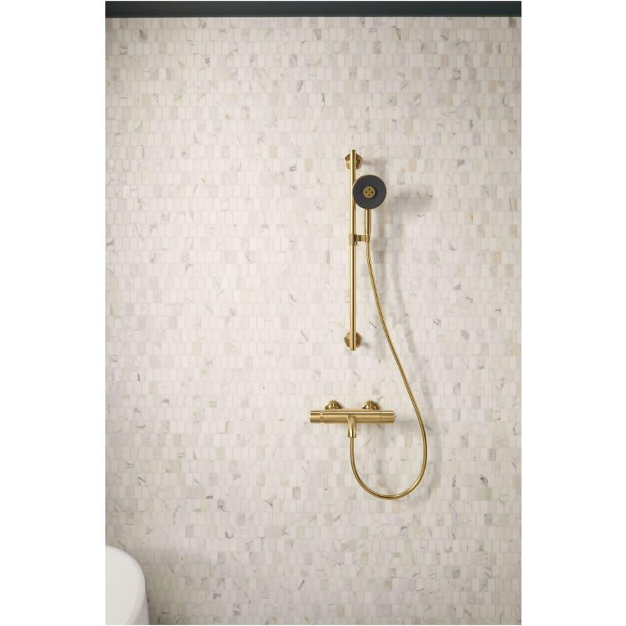 Statement 1.75 GPM Multi Function Hand Shower with MasterClean Sprayface and Katalyst Air Induction Technology - ayebphnnrcjcim1mepp7@2x.jpg