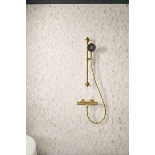 Statement 1.75 GPM Multi Function Hand Shower with MasterClean Sprayface and Katalyst Air Induction Technology - ayebphnnrcjcim1mepp7_x500.jpg