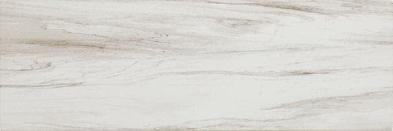 Platinum Calacatta Sky Rectangle 12X24 Matte - azukfcqpl9xylbooobku@2x.jpg