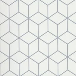 GEOMETRY CUBE GRAY 10X10 - b01fppoopa85cn9rtpca@2x.jpg