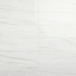 Platinum Oyster Rectangle 12X24 Matte - b20ye4uxy8zaqieouscz@2x.jpg