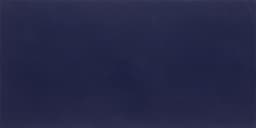 Luminique Navy Picket 2X5 Glossy - b3f2z3jr2egacuhgpdkx@2x.jpg