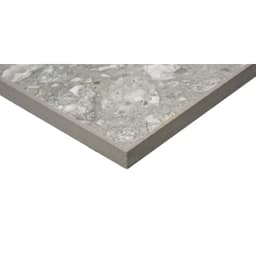 PERENNE MIST R11 24X47 - b46fkk6fsg7jwpx6ngqd@2x.jpg