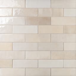 Cloé 2.5X8 Glossy Ceramic Tile in Creme - b4b8eubncqz7tpiiqf2r@2x.jpg