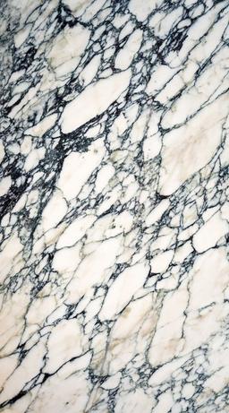Calacatta Paonazzo Black - b5cdgxnldba16gigxbb3@2x.jpg