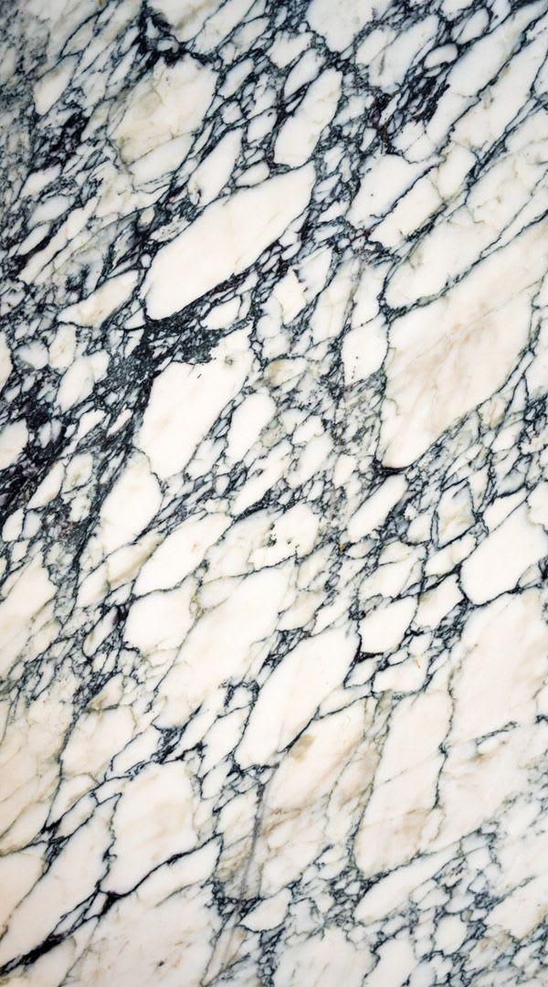 Calacatta Paonazzo Black - b5cdgxnldba16gigxbb3@2x.jpg