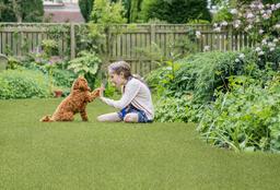 EMERALD GREEN TURF 110 - b5oq9bh7qfgbayzl0deh@2x.jpg