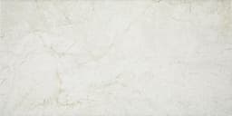 Platinum Alabaster Rectangle 12X24 Matte - b6t2dchobvts4ak2oigg@2x.jpg