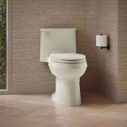 Adair 1.28 GPF One-Piece Elongated Comfort Height Toilet with AquaPiston Technology - Seat Included - b7477kkvygdmo6r36a3f@2x.jpg
