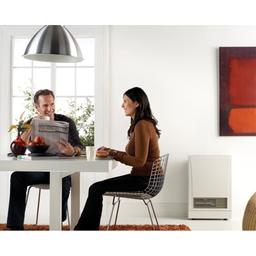 D Direct Vent Wall Furnace, Single Side, 8 Kbtu/hr, Propane, 82% AFUE - b7pld7lnst8cjyevhacn@2x.jpg