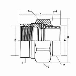 Dielectric Union, 3/4 in, C x FNPT - bbnifyltedt2x6wfasm6@2x.jpg