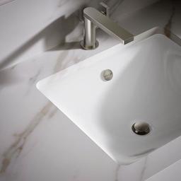 Iron Plains 18-9/16" Drop In Enameled Cast Iron Bathroom Sink with Overflow - bbqnbkndjb8zokoeglil@2x.jpg