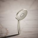 Forte 2.5 GPM Multi Function Hand Shower - becyfjrji0uxmzq6egzs@2x.jpg