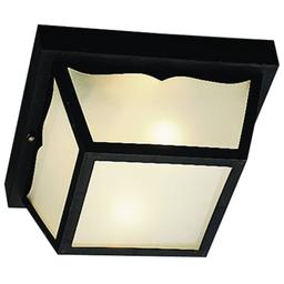 2 Light Outdoor Ceiling Fixture - bgrbm47avorv1pd3xdzy@2x.jpg