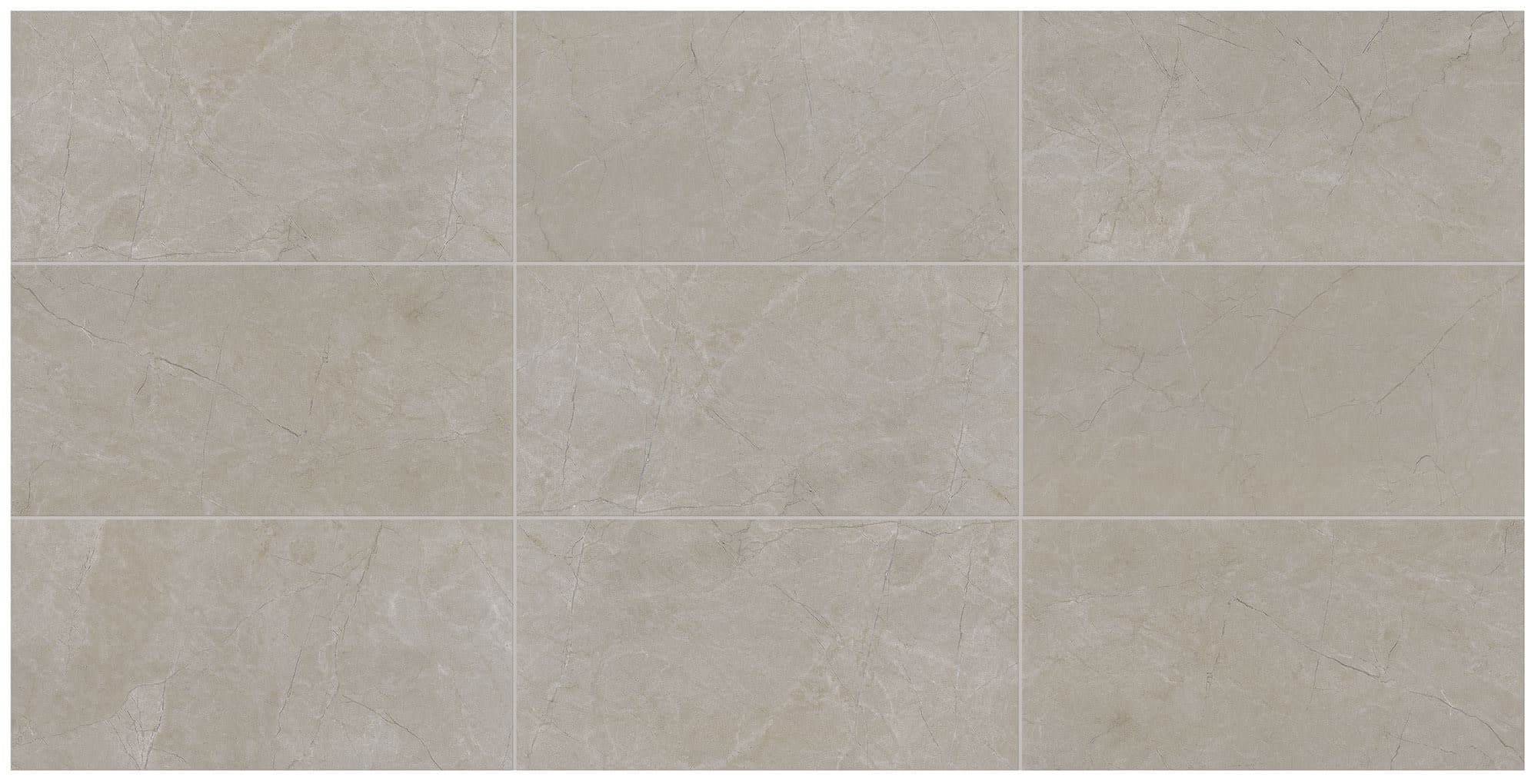 Classentino Marble Coliseum Gray Rectangle 12X24 Matte - bhmydcclrrfbo91nup8e@2x.jpg